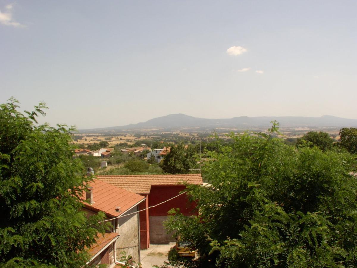 I Tulipani Olandesi Bed and Breakfast Zepponami Εξωτερικό φωτογραφία